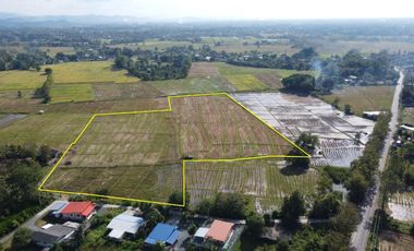 Land for sale in Rong Wua Daeng, Chiang Mai