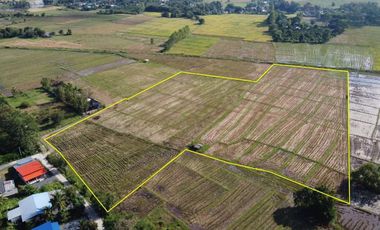 Land for sale in Rong Wua Daeng, Chiang Mai