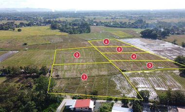 Land for sale in Rong Wua Daeng, Chiang Mai