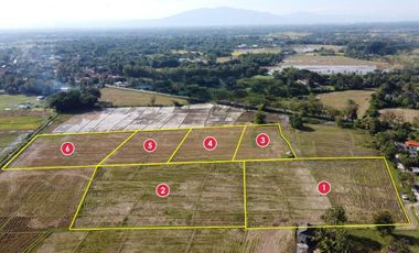 Land for sale in Rong Wua Daeng, Chiang Mai