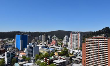 Departamento en el centro de Concepción
