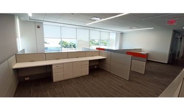 SE ALQUILAN OFICINAS EN PANAMA PACIFICO