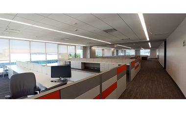 SE ALQUILAN OFICINAS EN PANAMA PACIFICO
