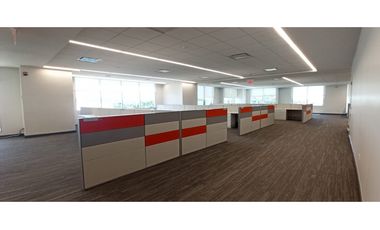 SE ALQUILAN OFICINAS EN PANAMA PACIFICO