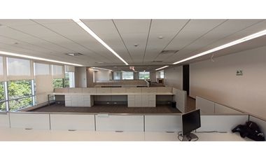 SE ALQUILAN OFICINAS EN PANAMA PACIFICO
