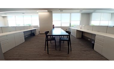 SE ALQUILAN OFICINAS EN PANAMA PACIFICO