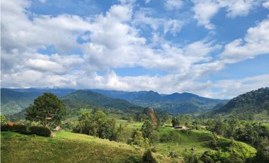 Tres lotes en venta, vía termales Santa Rosa de cabal