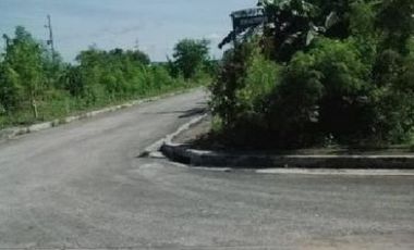 Commercial & Residential Lots for Sale Cainta Greenland Cainta Rizal, contact Donald