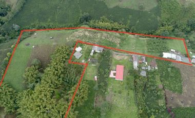 Finca en venta en Filandia