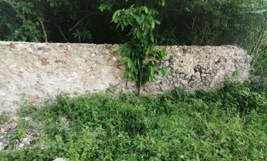 Rancho de 170 has en venta, Calotmul, Yuc., Buena Ubicación.