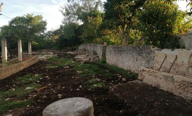 Rancho de 170 has en venta, Calotmul, Yuc., Buena Ubicación.