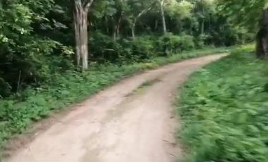Rancho de 170 has en venta, Calotmul, Yuc., Buena Ubicación.