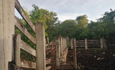 Rancho de 170 has en venta, Calotmul, Yuc., Buena Ubicación.