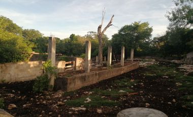 Rancho de 170 has en venta, Calotmul, Yuc., Buena Ubicación.