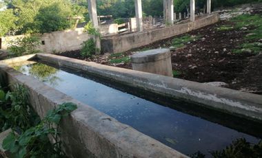 Rancho de 170 has en venta, Calotmul, Yuc., Buena Ubicación.