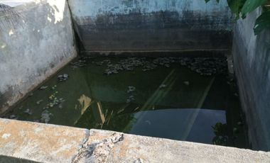 Rancho de 170 has en venta, Calotmul, Yuc., Buena Ubicación.