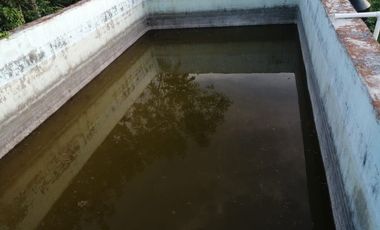 Rancho de 170 has en venta, Calotmul, Yuc., Buena Ubicación.