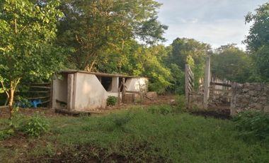 Rancho de 170 has en venta, Calotmul, Yuc., Buena Ubicación.