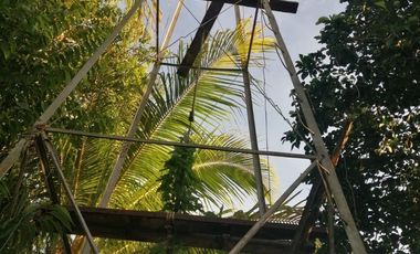 Rancho de 170 has en venta, Calotmul, Yuc., Buena Ubicación.