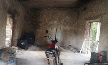 Rancho de 170 has en venta, Calotmul, Yuc., Buena Ubicación.