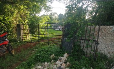 Rancho de 170 has en venta, Calotmul, Yuc., Buena Ubicación.