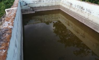 Rancho de 170 has en venta, Calotmul, Yuc., Buena Ubicación.