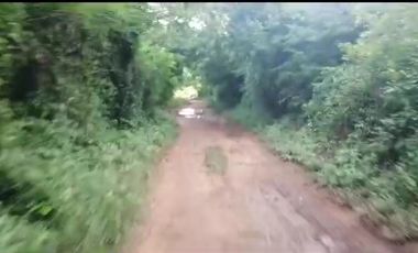 Rancho de 170 has en venta, Calotmul, Yuc., Buena Ubicación.