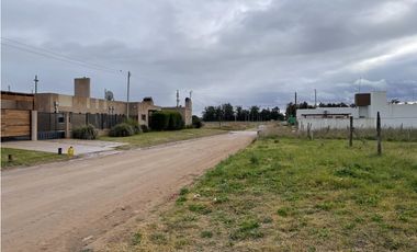 terreno sobre calle 99 entre 42 y 40 de 400M2
