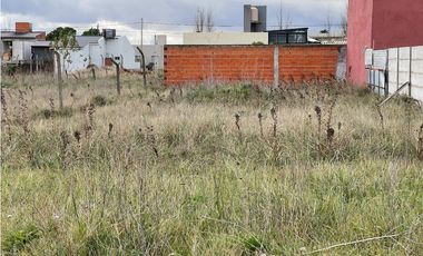 terreno sobre calle 99 entre 42 y 40 de 400M2