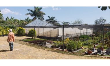 TERRENO COMERCIAL-RESIDENCIAL 4.5 HECTAREAS CARRETERA PANAMERICANA