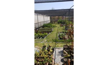 TERRENO COMERCIAL-RESIDENCIAL 4.5 HECTAREAS CARRETERA PANAMERICANA