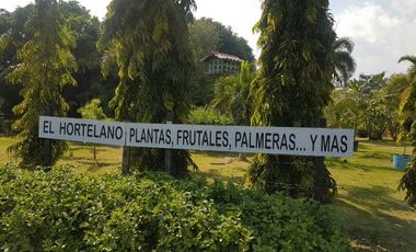 TERRENO COMERCIAL-RESIDENCIAL 4.5 HECTAREAS CARRETERA PANAMERICANA