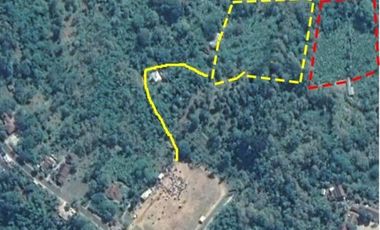 Jual Tanah Perkebunan Siap Panen Luas Daerah Wonosalam