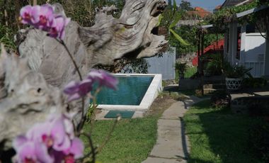 Leasehold - Tropical Oasis in Batu Mejan - 9 Bungalows with Pool & Garden, Canggu, Bali