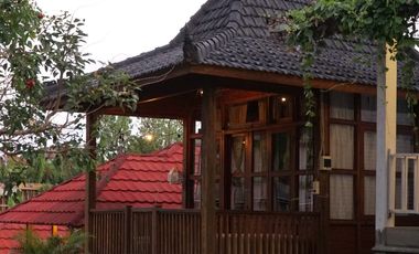 Leasehold - Tropical Oasis in Batu Mejan - 9 Bungalows with Pool & Garden, Canggu, Bali