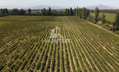 Agrícola en Venta en Ruta K-15 4800