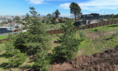 Proyecto Único en Los Pinos, Reñaca