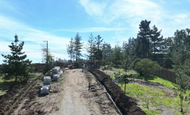 Proyecto Único en Los Pinos, Reñaca