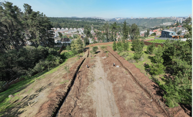 Proyecto Único en Los Pinos, Reñaca
