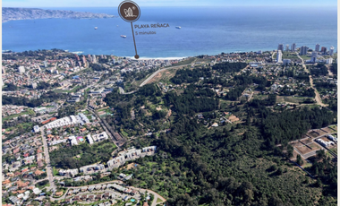 Proyecto Único en Los Pinos, Reñaca