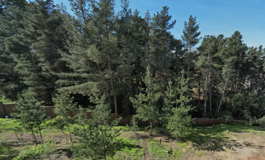 Proyecto Único en Los Pinos, Reñaca