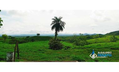 En venta 1 ha en Boca Chica, cerca a la playa con increíbles vistas!