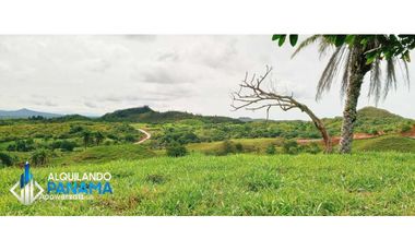 En venta 1 ha en Boca Chica, cerca a la playa con increíbles vistas!
