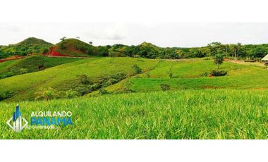 En venta 1 ha en Boca Chica, cerca a la playa con increíbles vistas!