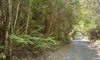 Sitio en Venta en Ensenada - Puerto Varas