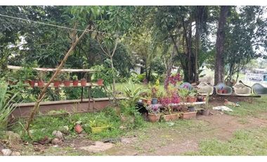 Se terreno con estructura Vista Alegre Arraijan