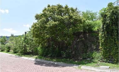 LAS CAÑADAS LOTE EN VENTA LOTE LA NORIA A UNOS PASOS DEL CENTRO COMERCIAL