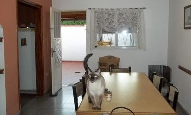 HERMOSO CHALET 5 AMBIENTES / GRAN PARQUE / COCHERA PARA 3 AUTOS / LOTE 10 X 33