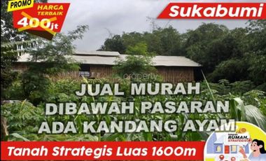 Tanah 1600m Stratgis Kandang Ayam Kapasitas 1500 Kertaangsana Sukabumi