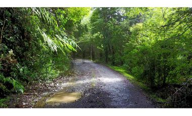 Parcela en Chonchi - Oportunidad de Inversión